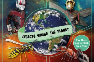 Six Legged Superheroes: Insects Saving the Planet